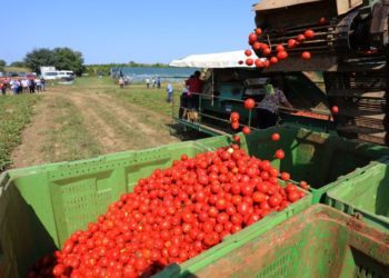 Hercegovina dobiva 3 tvornice za proizvodnju hrane koju će izvoziti u zemlje Europske unije