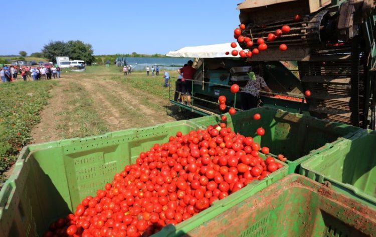 Hercegovina dobiva 3 tvornice za proizvodnju hrane koju će izvoziti u zemlje Europske unije
