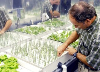 Posavina iz Izraela u BiH donosi najmoderniji način uzgoja povrća