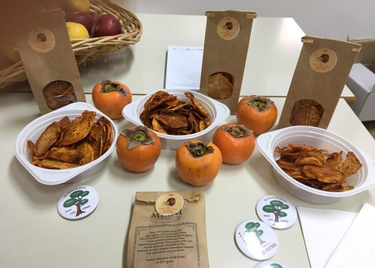 Što nam sve to studenti proizvode? Znanstveni dan je završio!