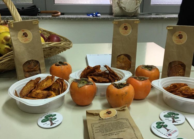 Što nam sve to studenti proizvode? Znanstveni dan je završio!