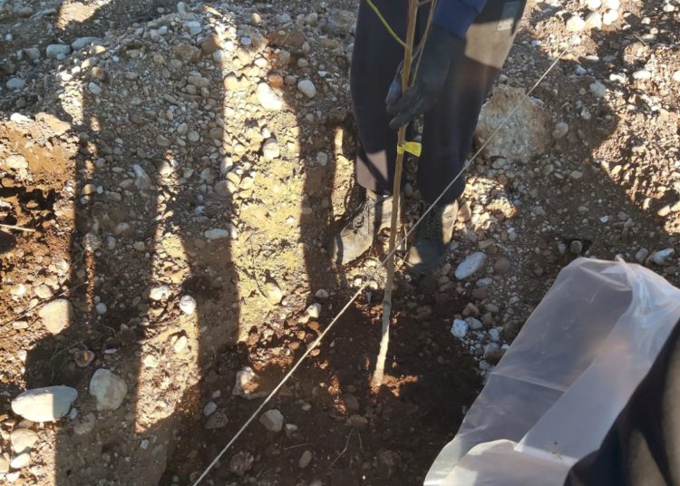 Studenti posadili više od 100 vrsta različitih voćaka