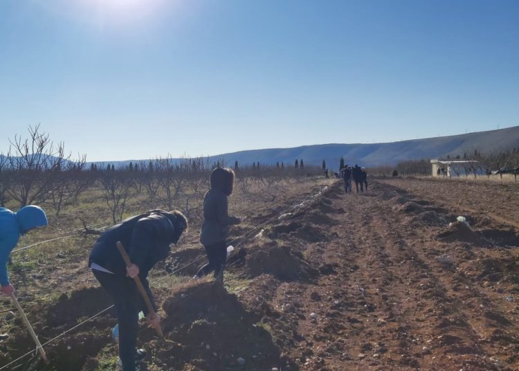 Studenti posadili više od 100 vrsta različitih voćaka