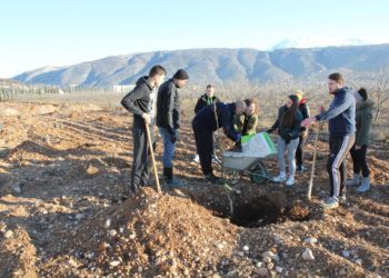 Studenti posadili više od 100 vrsta različitih voćaka