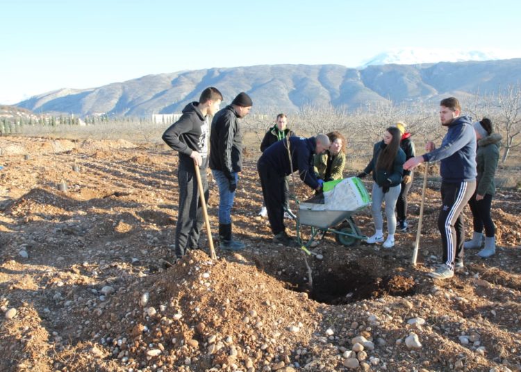 Studenti posadili više od 100 vrsta različitih voćaka