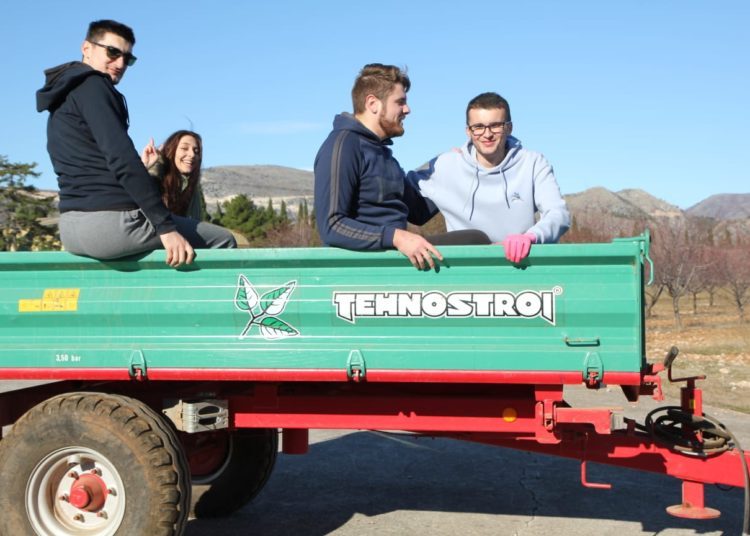 Studenti posadili više od 100 vrsta različitih voćaka