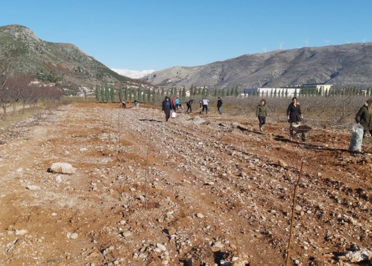 Studenti posadili više od 100 vrsta različitih voćaka
