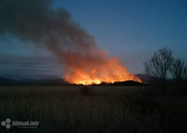 Požar većih razmjera zahvatio područje Parka prirode Hutovo blato