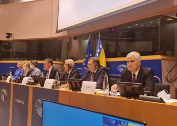 Čović u Europskom parlamentu: Politička i građanska prava Hrvata grubo se krše zbog želje za dominacijom Bošnjaka