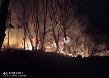 Apel iz Posušja: Ne palite vatru na otvorenom. Posljedice mogu biti nesagledive