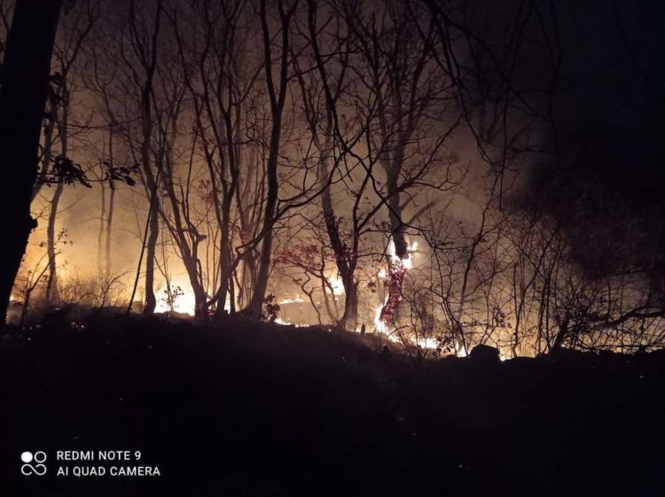 Apel iz Posušja: Ne palite vatru na otvorenom. Posljedice mogu biti nesagledive