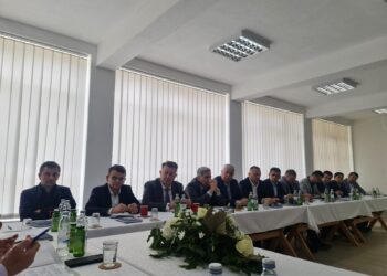 HDZ BiH: Održana X. koordinacija načelnika/gradonačelnika i županijskih premijera s predsjednikom Čovićem