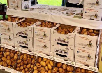 Domaći rani krompir 2,30 KM