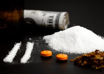 BiH: Tjelohranitelj ministra uhićen zbog krijumčarenja speeda