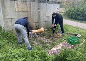 Proslava praznika rada: Spomenik iskoristili kao zaklon za ražanj