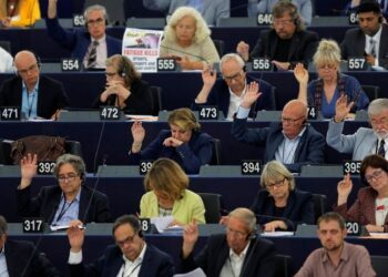 Poraz bošnjačkih unitarista u Europskom parlamentu