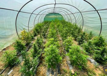 Akcija FUP-a u Hercegovini, uhićene dvije osobe