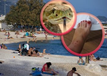 Ženu na hrvatskoj plaži ugrizla zmija: Sve je bilo puno krvi…