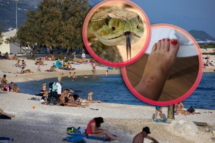 Ženu na hrvatskoj plaži ugrizla zmija: Sve je bilo puno krvi…