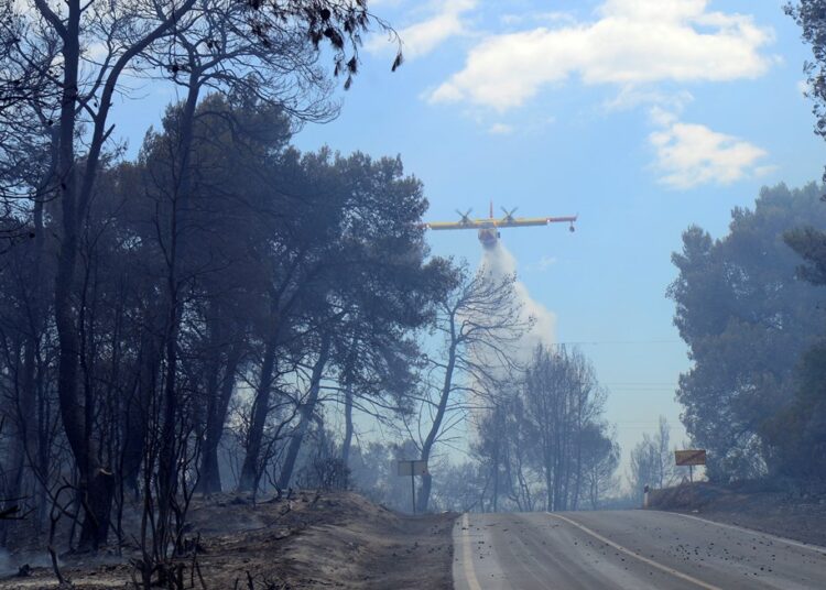 Pogledajte fotografije velikog požara koji je prijetio Puli
