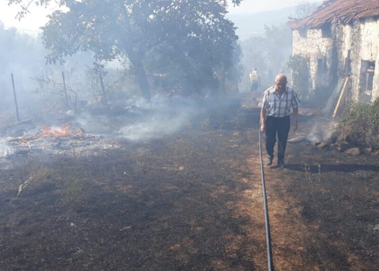 Veliki požar u Čulama, vatrena stihija došla do kuća