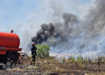 VIDEO | Veliki požar izbio južno od Mostara, na lokaciji Bišće polje
