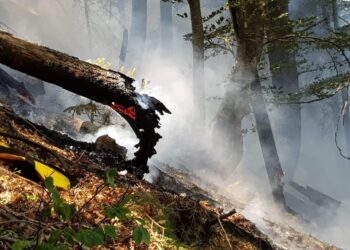 Najnovije informacije o požaru u Parku prirode Blidinje
