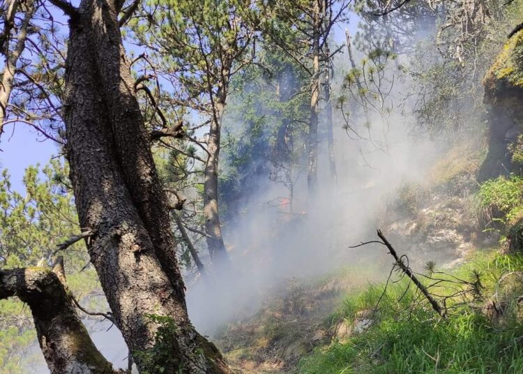 Najnovije informacije o požaru u Parku prirode Blidinje