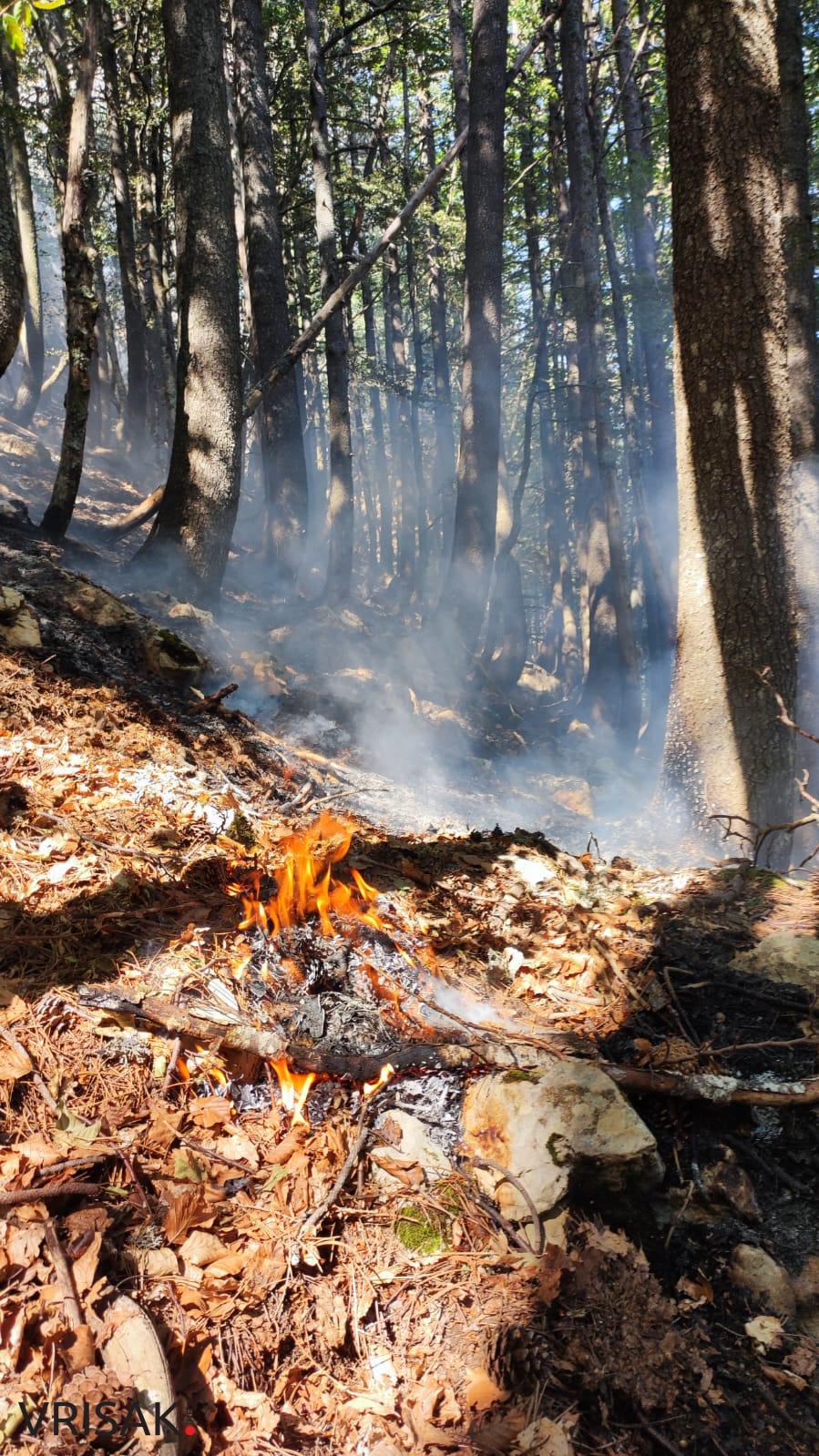 Izvještaj s prve crte obrane Blidinja: “Borimo se, ima nas dosta”