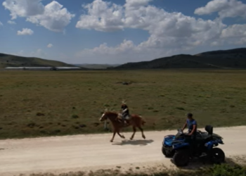 Lijepa obiteljska priča s Kupresa, otac i sin čuvaju najviše krava u BiH, otkrili su koliko zarađuju