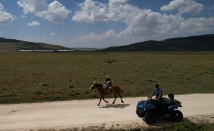 Lijepa obiteljska priča s Kupresa, otac i sin čuvaju najviše krava u BiH, otkrili su koliko zarađuju