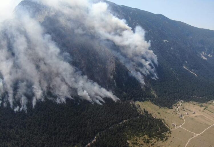 Požar u Parku prirode Blidinje stavljen je pod kontrolu