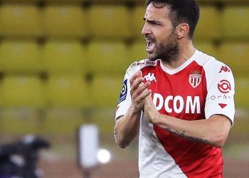 Fabregas potpisao za talijanskog drugoligaša