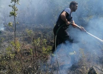 Ljubuški: Požar u Grabovu Vrilu