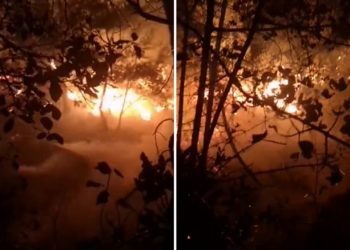 Izbio požar kod Zrća, u gašenju pomaže i kanader