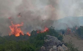 Požar u selu Prapratnica kod Neuma prijeti kućama