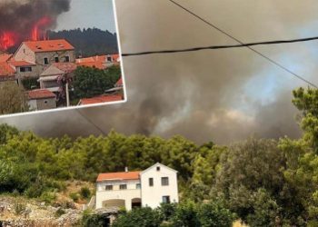 Plenković: U požaru na Hvaru jedna osoba poginula