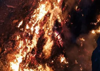 U mostarskom naselju gorjela pilana, vatra zahvatila veliku deponiju smeća