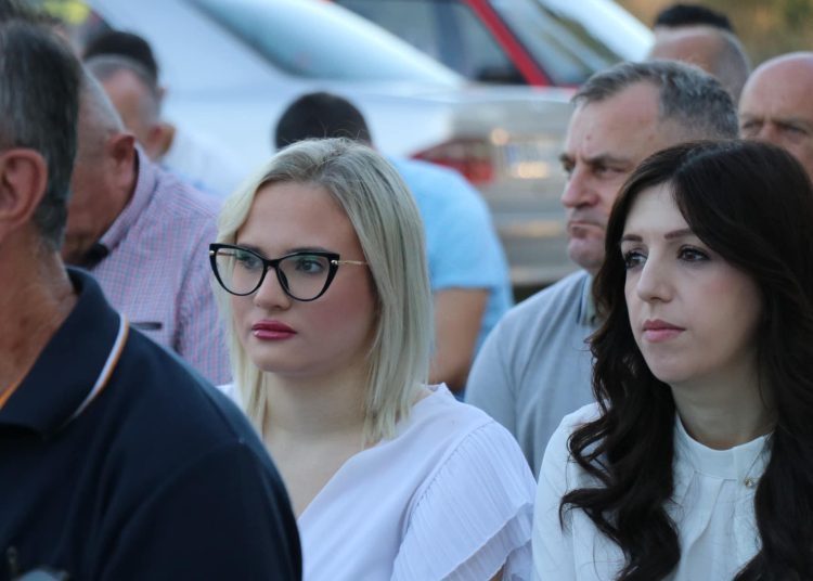 HDZ BiH u Dobrič-Provu, Gracu i Knešpolju: Ustrajno do pobjede!