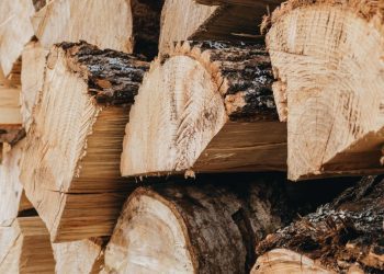 Vijeće ministara BiH zabranilo izvoz određenih šumskih drvnih proizvoda