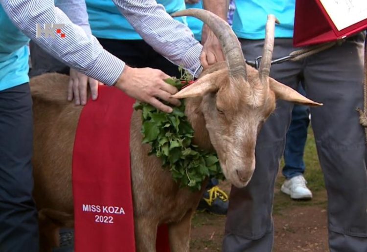 Hrvati izabrali: Roška je miss koza 2022.