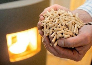 Cijene drveta i peleta u Njemačkoj skočile za preko 85 posto