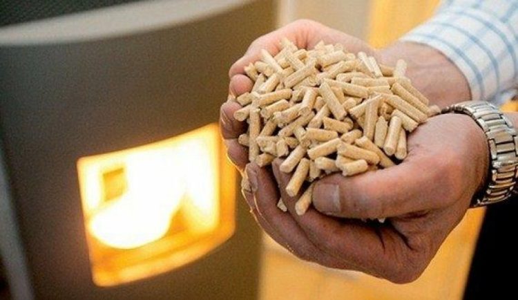 Cijene drveta i peleta u Njemačkoj skočile za preko 85 posto