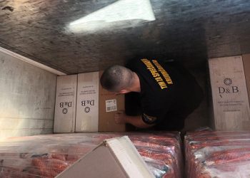 BiH: U hladnjači iza povrća pronađeno 10 000 kutija cigareta