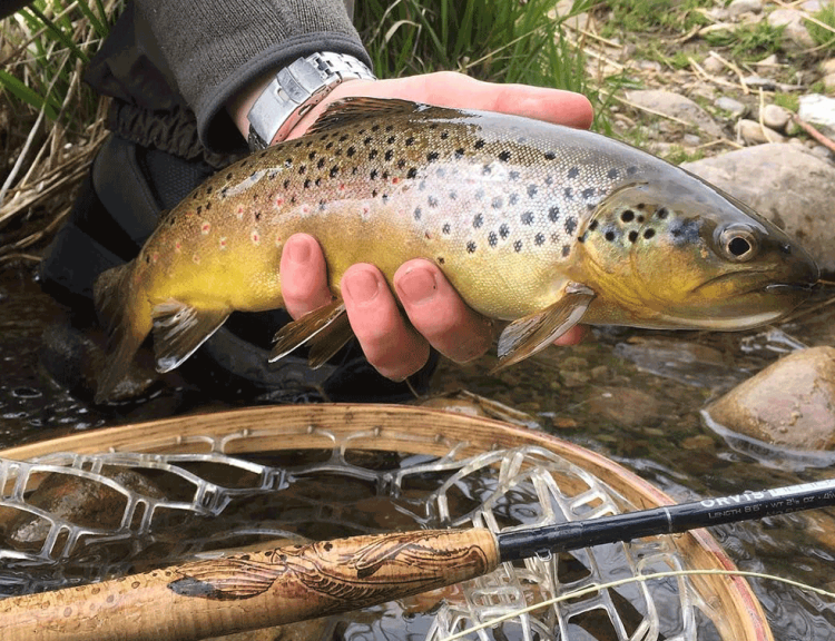 BiH: Ribari u teškoj situaciji, tvrde da država ”spava”