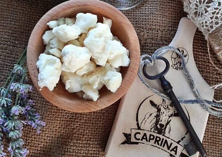 Zlatne medalje za kozji sir Caprina – Sirana Llaeth planira plasman u Hrvatsku i širenje proizvodnje