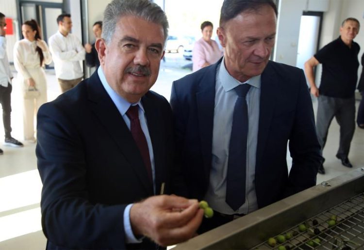 Otvoren pogon za preradu maslina u Neumu
