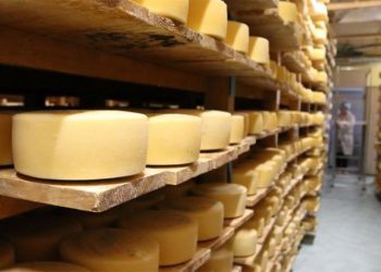 Mljekara Livno prvi put na sajmu prehrambene industrije u Parizu