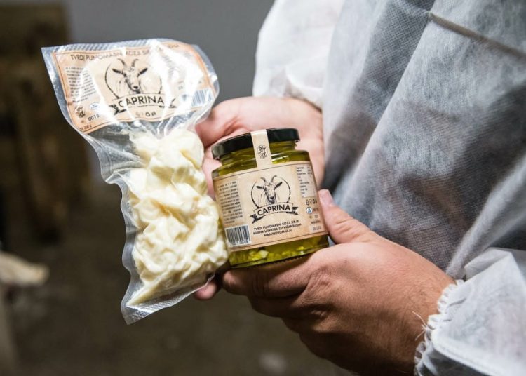 Zlatne medalje za kozji sir Caprina – Sirana Llaeth planira plasman u Hrvatsku i širenje proizvodnje