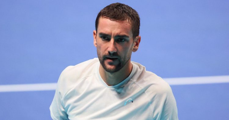 Nova ATP ljestvica: Čilić ostao 14. tenisač svijeta, Ćorić napredovao